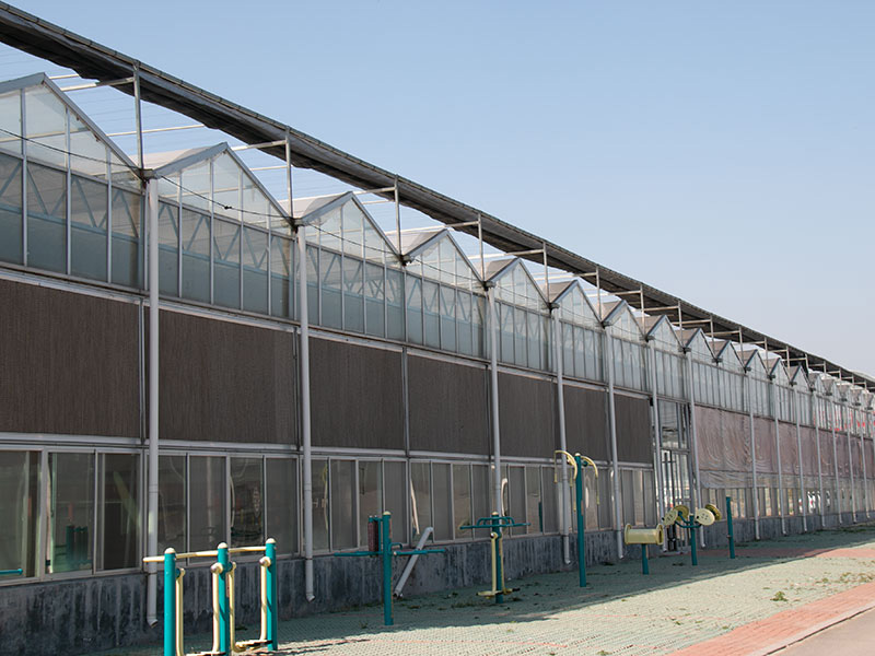 溫室大棚的建設流程